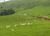 Fazenda, 242 hectares - Foto 4