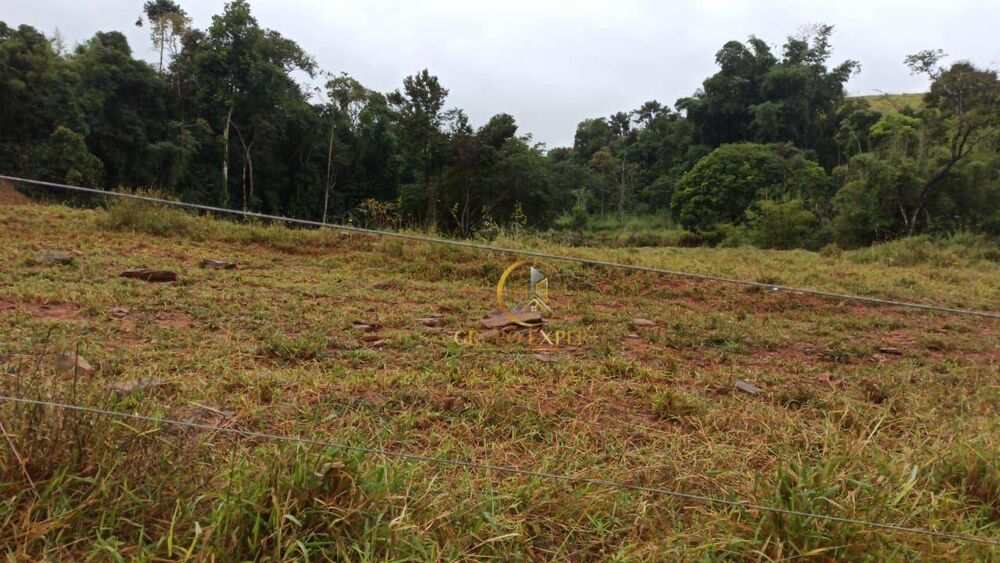 Fazenda à venda com 4 quartos, 4307600M2 - Foto 3