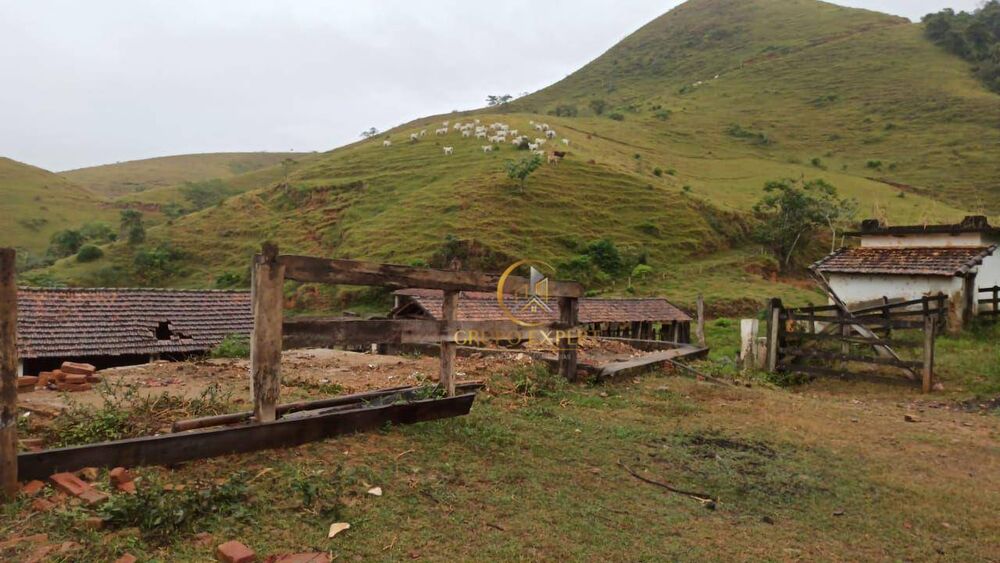 Fazenda à venda com 4 quartos, 4307600M2 - Foto 4