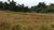 Fazenda, 431 hectares - Foto 3