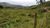 Fazenda, 431 hectares - Foto 2