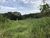 Terreno, 6 hectares - Foto 4