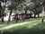 Terreno, 6 hectares - Foto 2
