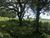 Terreno, 6 hectares - Foto 3