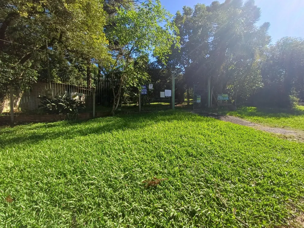 Terreno, 2793 m² - Foto 4