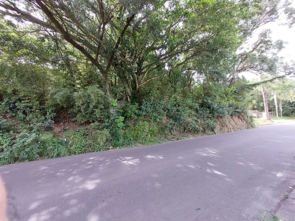 Terreno, 6700 m² - Foto 4