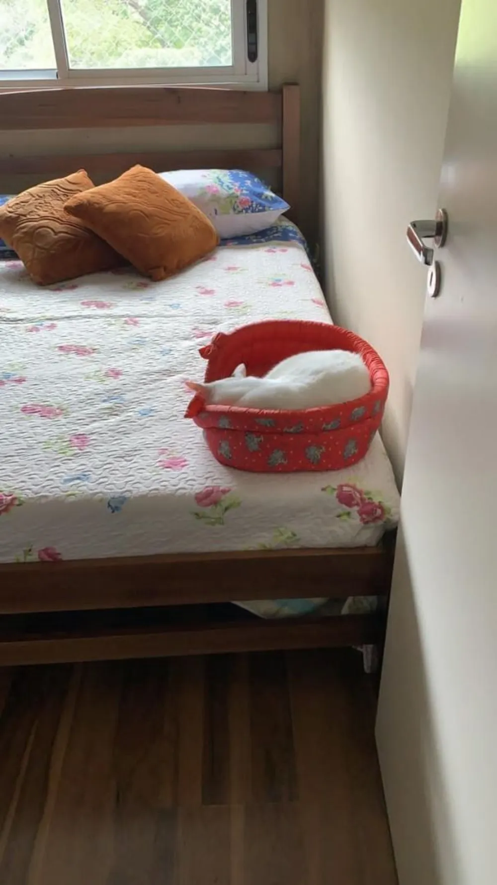 Apartamento, 2 quartos, 43 m² - Foto 2