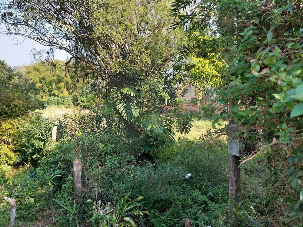 Terreno, 1500 m² - Foto 6