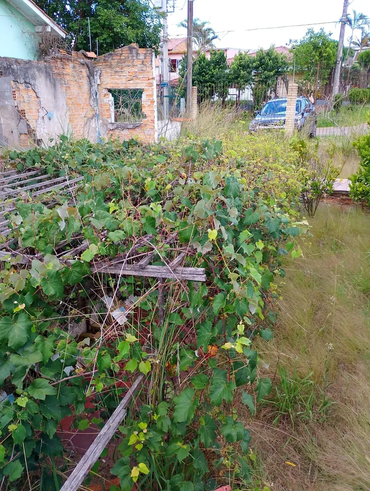 Casa, 1 quarto, 115 m² - Foto 6