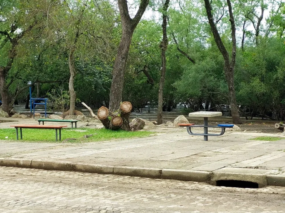 Terreno, 597 m² - Foto 8