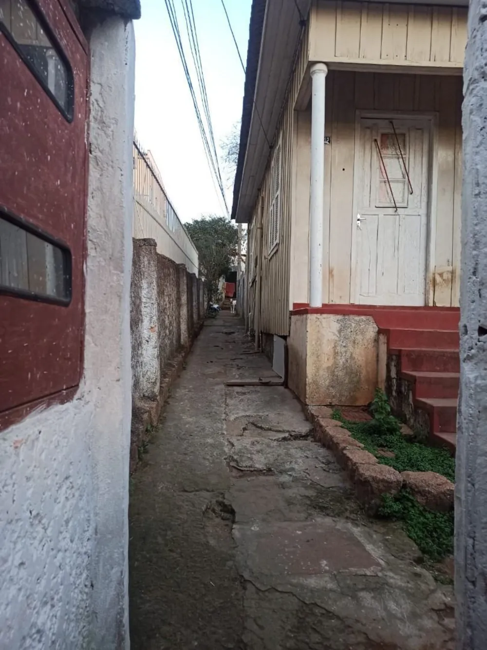 Casa, 5 quartos, 288 m² - Foto 1