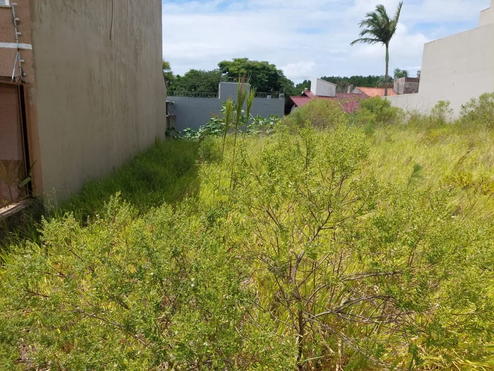 Terreno, 238 m² - Foto 9