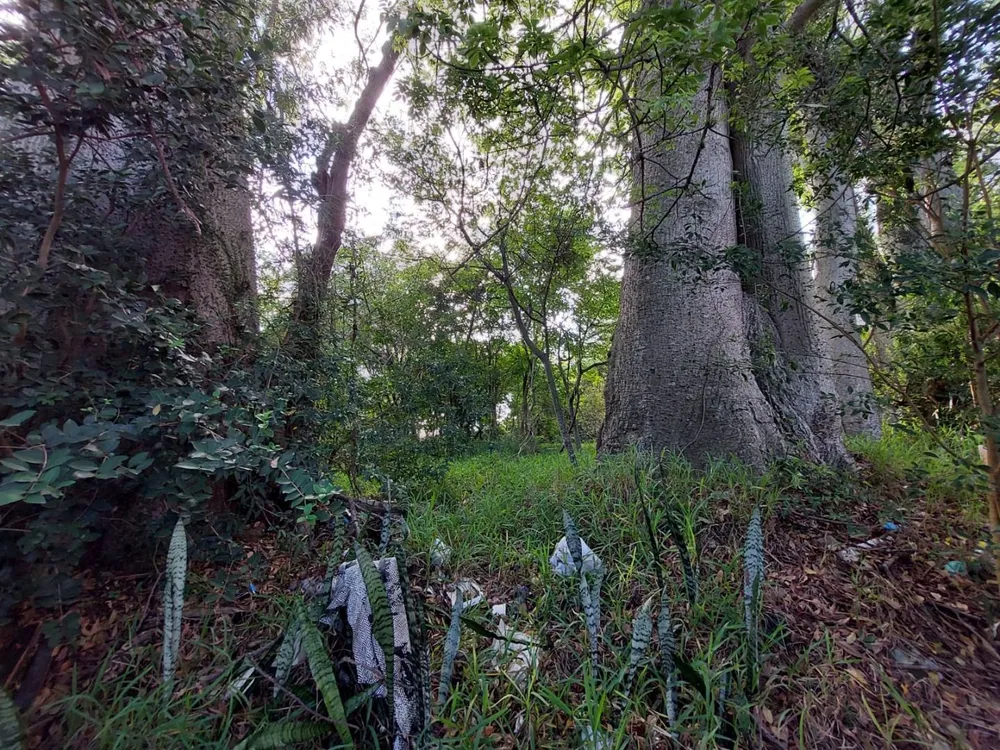 Terreno, 877 m² - Foto 1