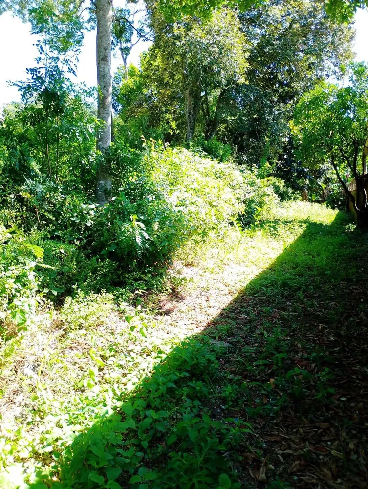 Terreno, 600 m² - Foto 5