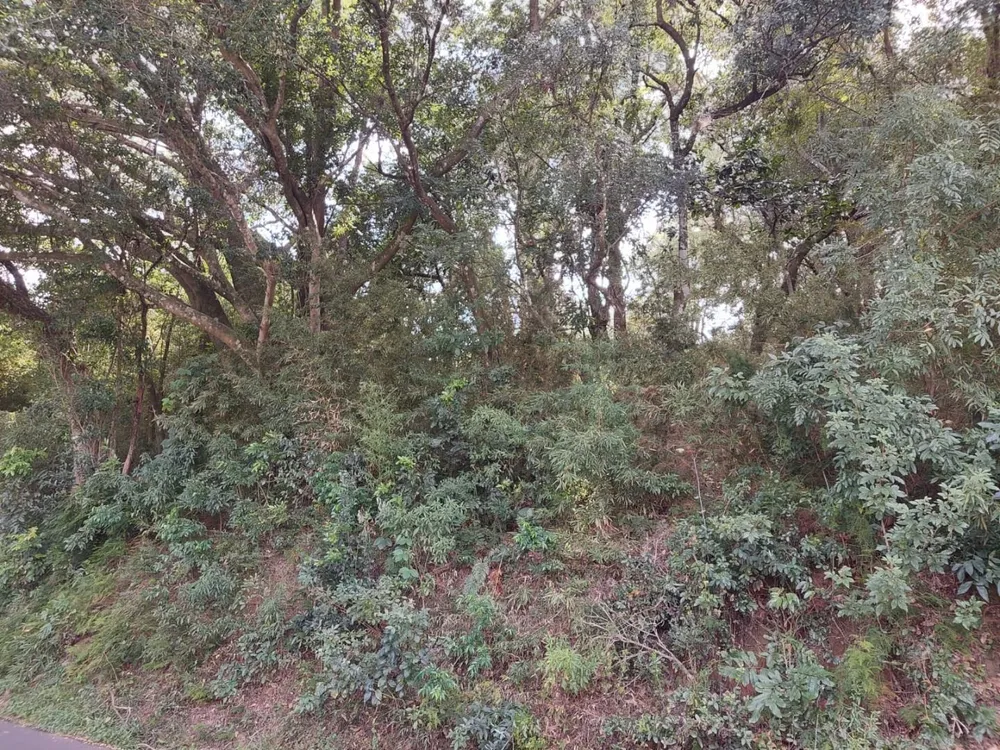 Terreno, 110 m² - Foto 9