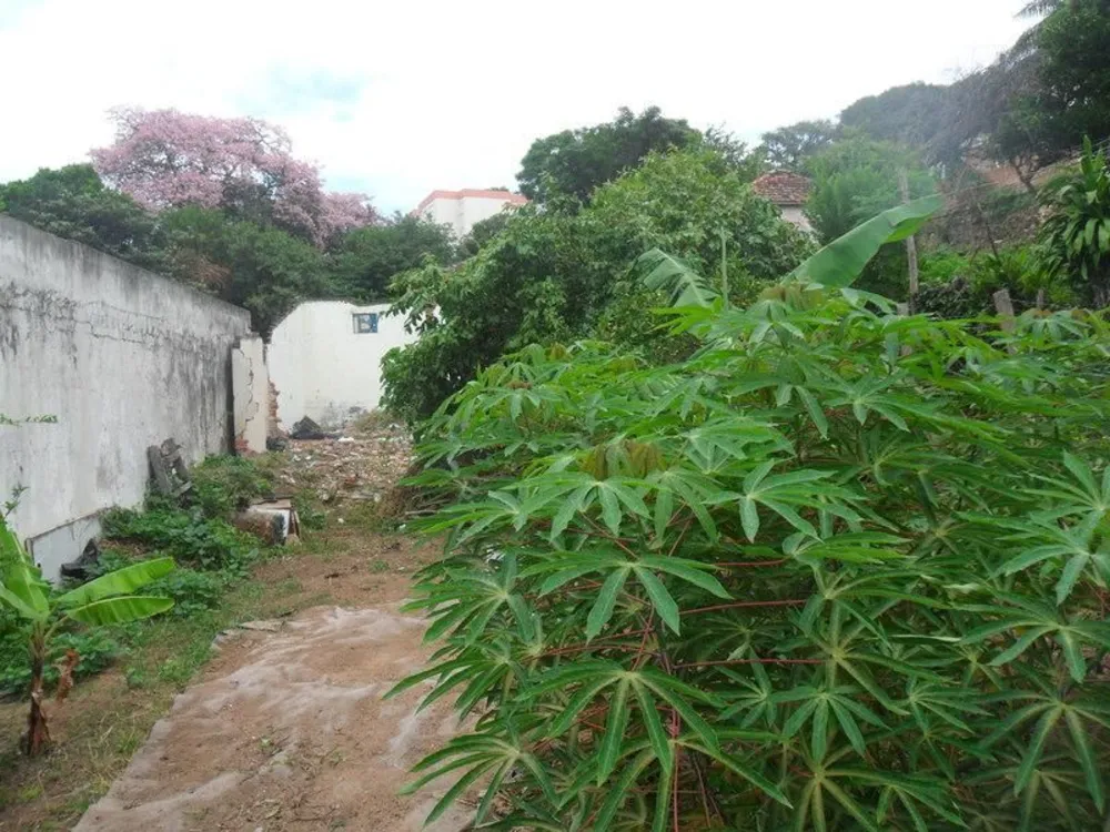 Terreno, 231 m² - Foto 1