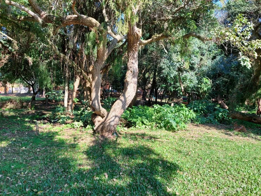 Casa, 2 quartos, 150 m² - Foto 4