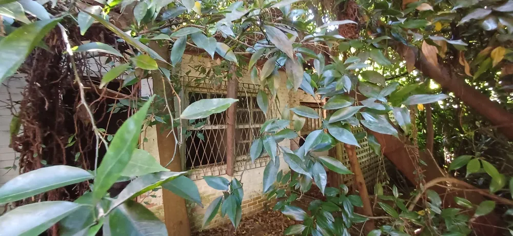 Apartamento, 2 quartos, 83 m² - Foto 3