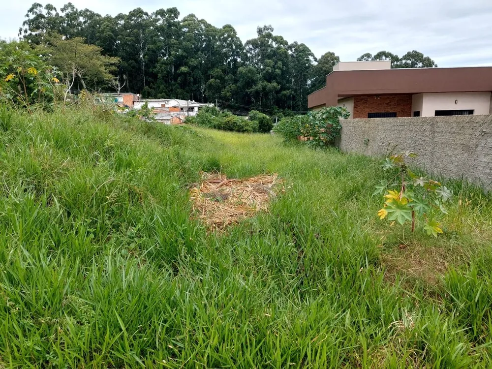 Terreno, 408 m² - Foto 3