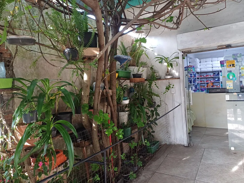 Prédio Inteiro, 300 m² - Foto 7