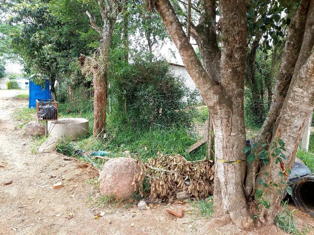 Terreno, 300 m² - Foto 6