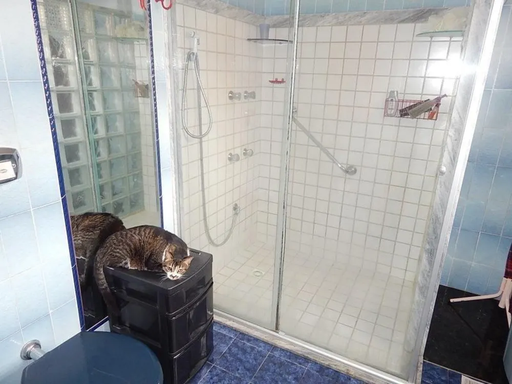 Apartamento, 2 quartos, 56 m² - Foto 14