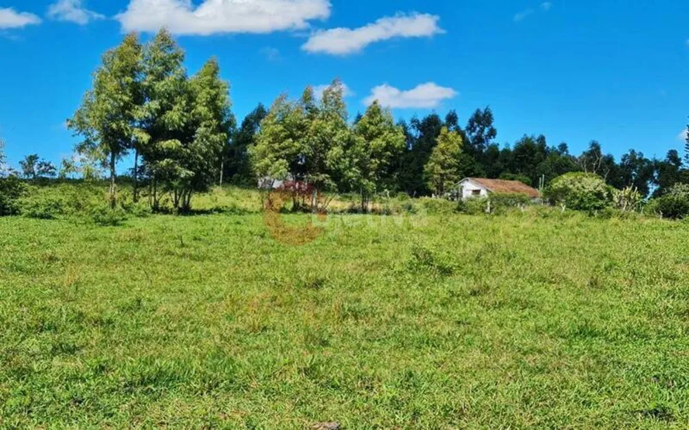 Terreno, 252 hectares - Foto 53