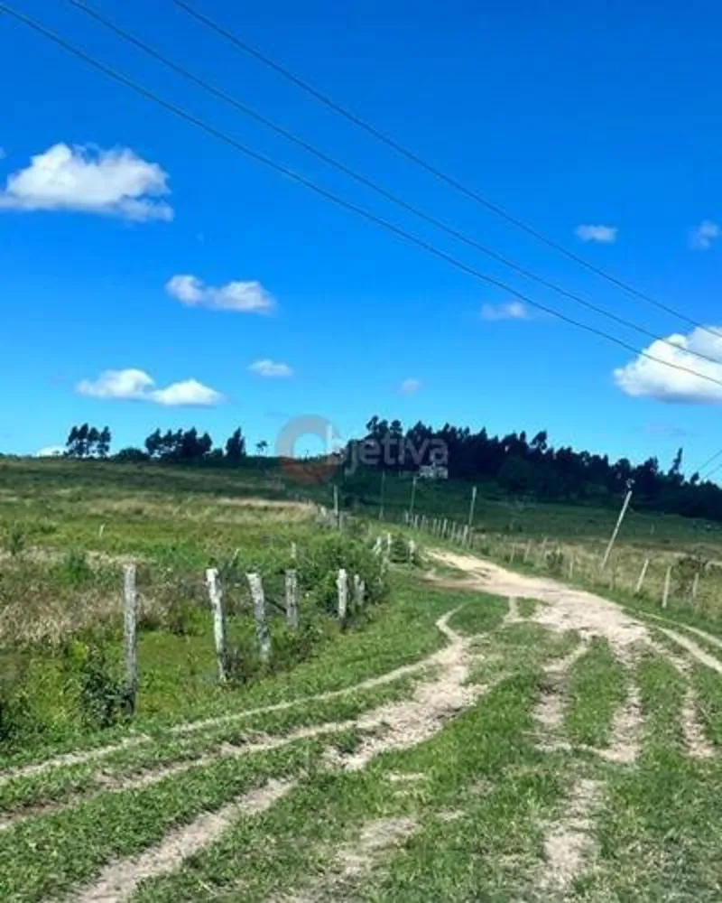 Terreno, 252 hectares - Foto 44