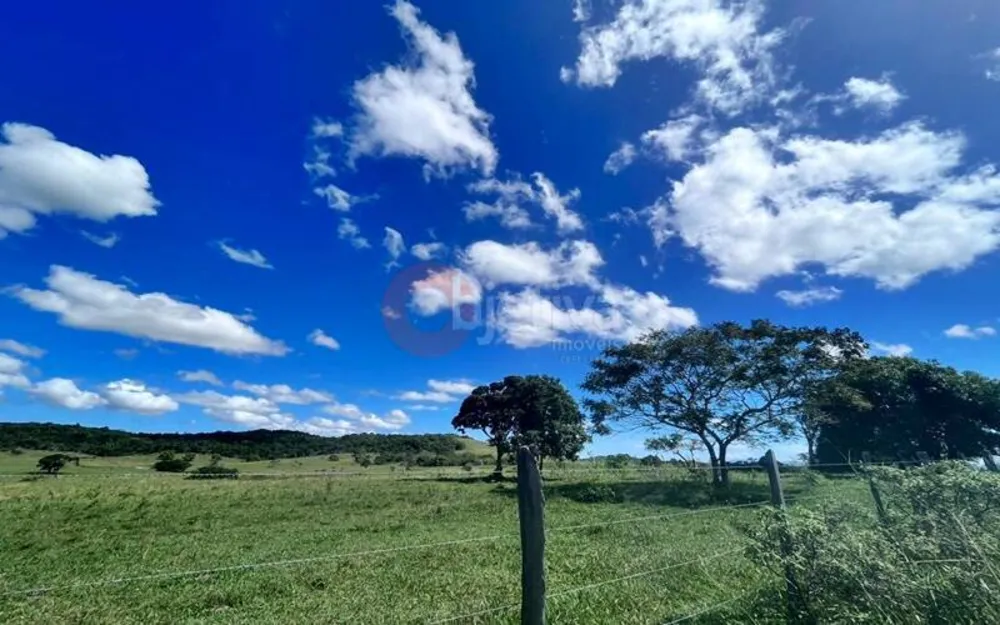Terreno, 252 hectares - Foto 9