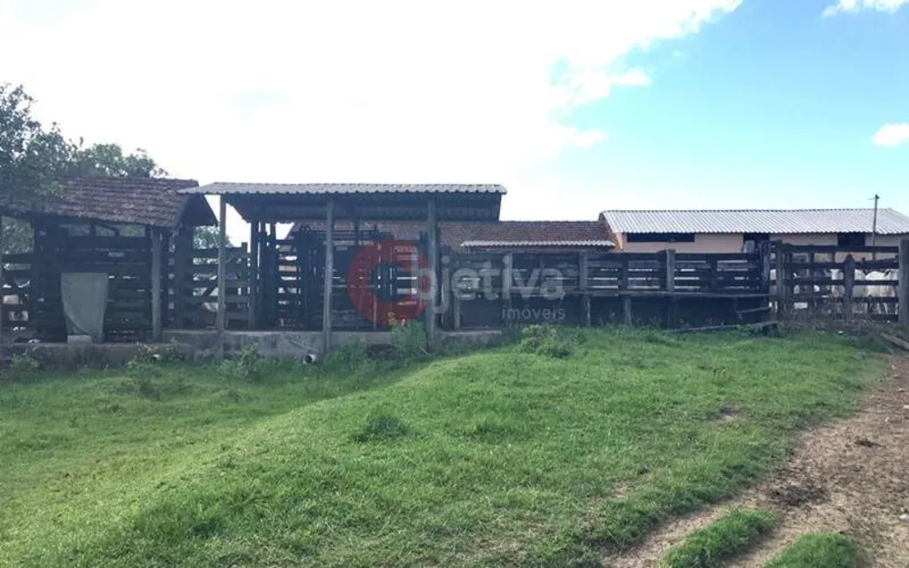 Terreno, 252 hectares - Foto 12