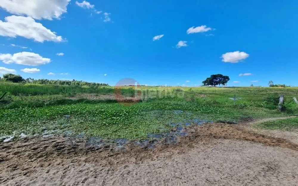 Terreno, 252 hectares - Foto 39