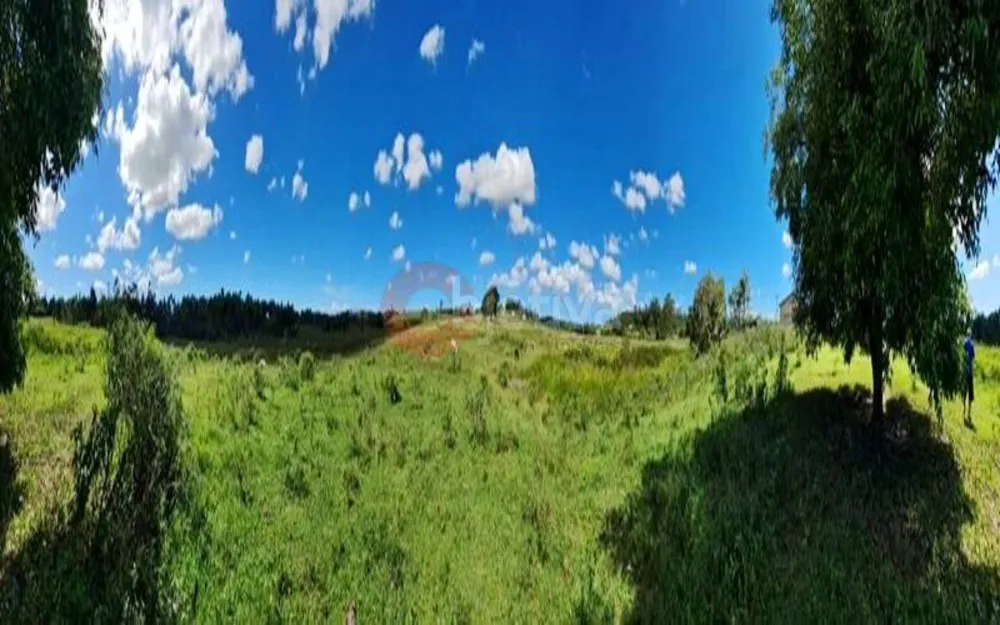 Terreno, 252 hectares - Foto 43