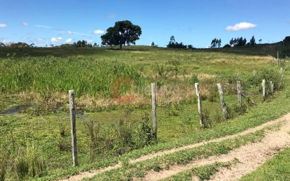 Terreno, 252 hectares - Foto 6