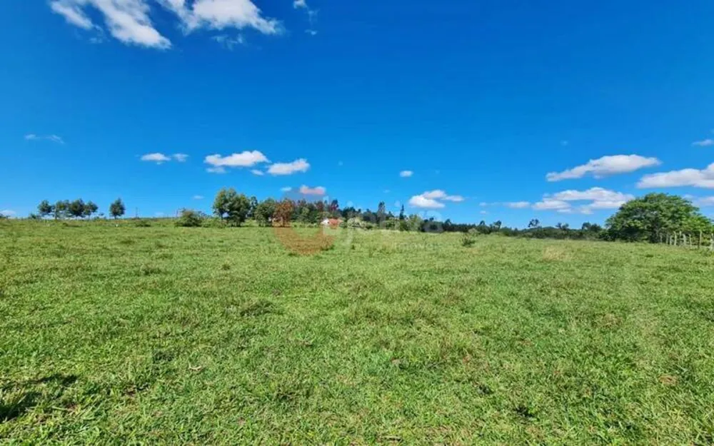Terreno, 252 hectares - Foto 31