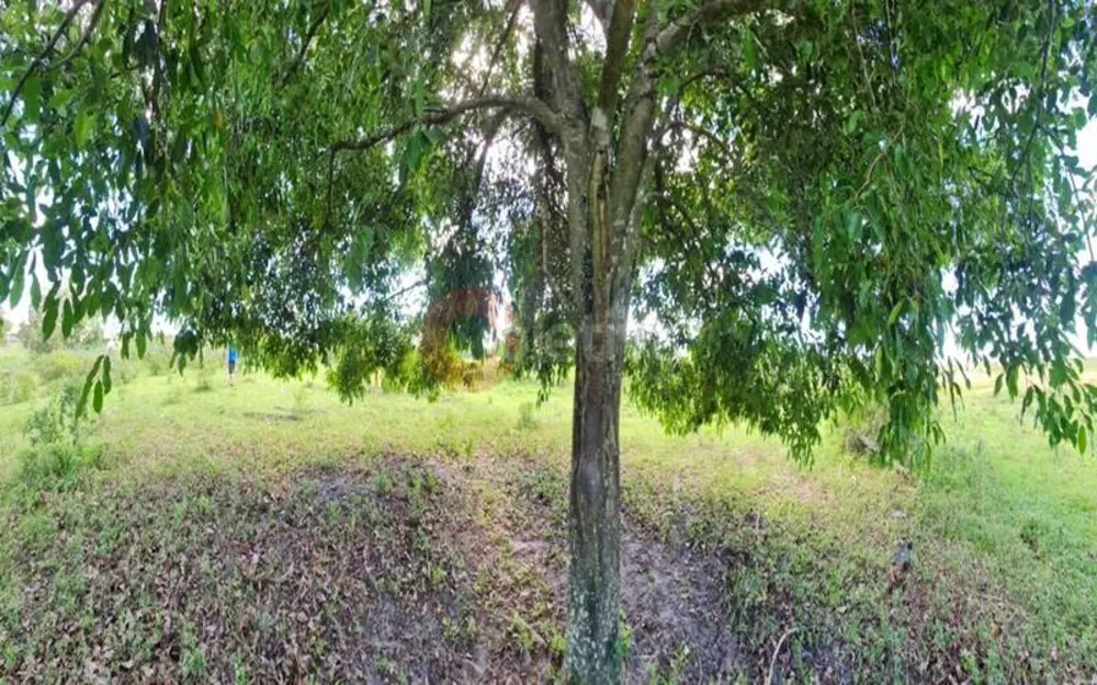 Terreno, 252 hectares - Foto 25