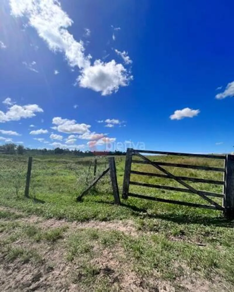 Terreno, 252 hectares - Foto 32