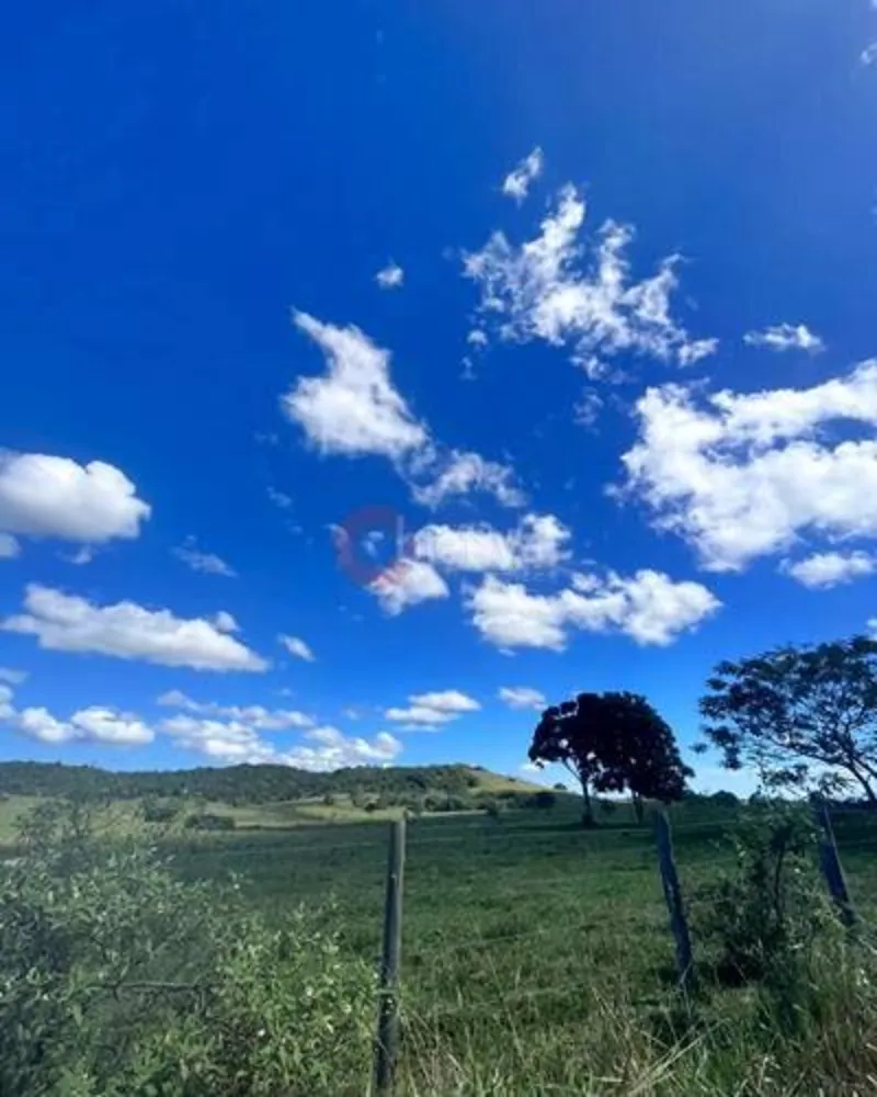 Terreno, 252 hectares - Foto 46