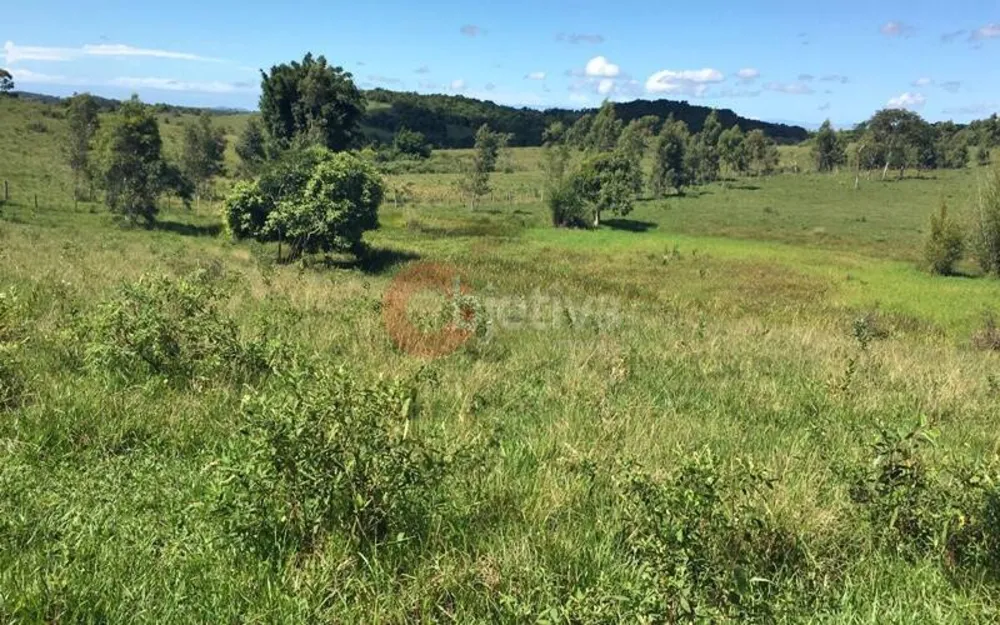 Terreno, 252 hectares - Foto 3