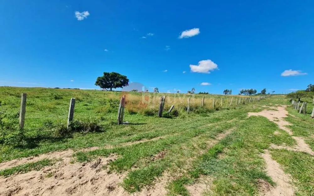 Terreno, 252 hectares - Foto 48