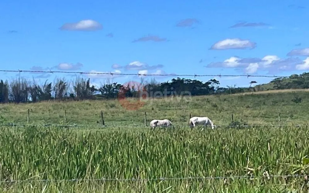Terreno, 252 hectares - Foto 17