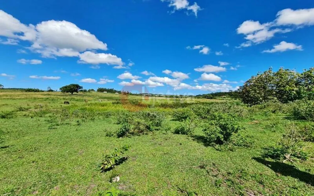 Terreno, 252 hectares - Foto 33