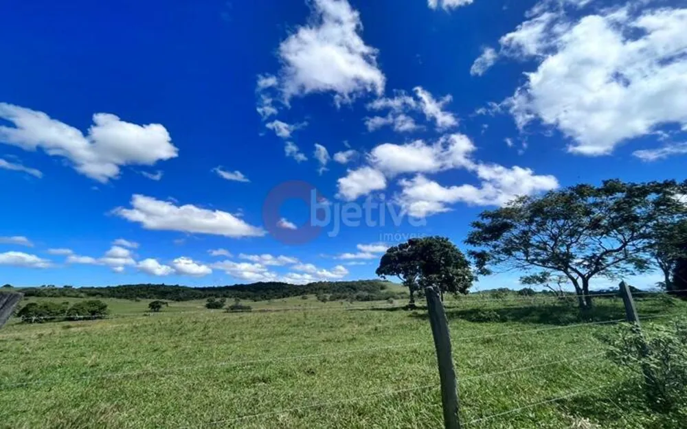 Terreno, 252 hectares - Foto 7