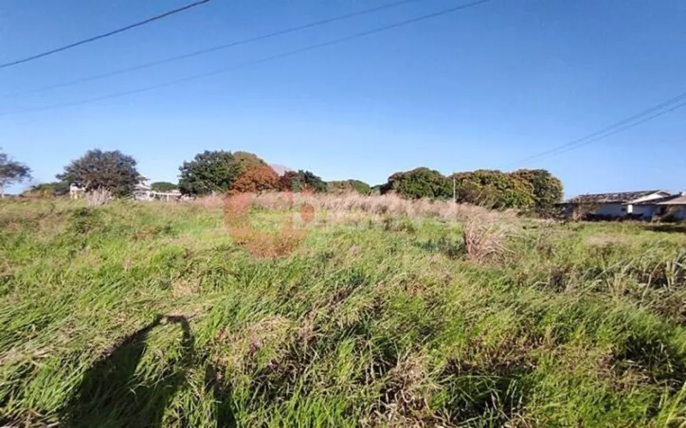 Terreno, 3300 m² - Foto 6