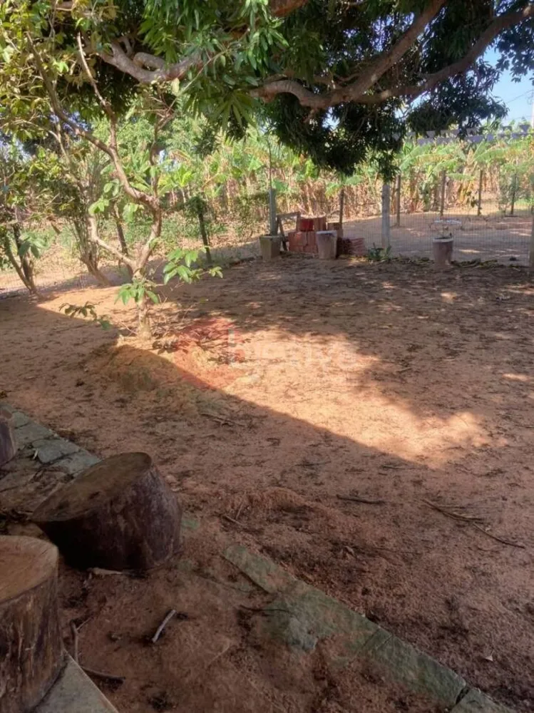 Chácara, 2 quartos, 4800 m² - Foto 6