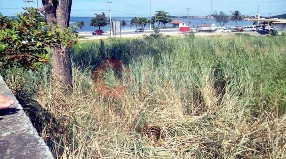 Terreno, 1212 m² - Foto 3