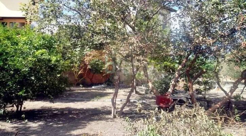 Terreno, 1212 m² - Foto 5
