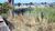 Terreno, 1212 m² - Foto 3