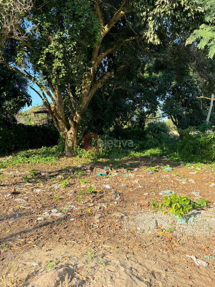 Terreno, 450 m² - Foto 3
