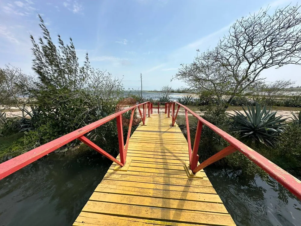 Casa, 2 quartos, 600 m² - Foto 55