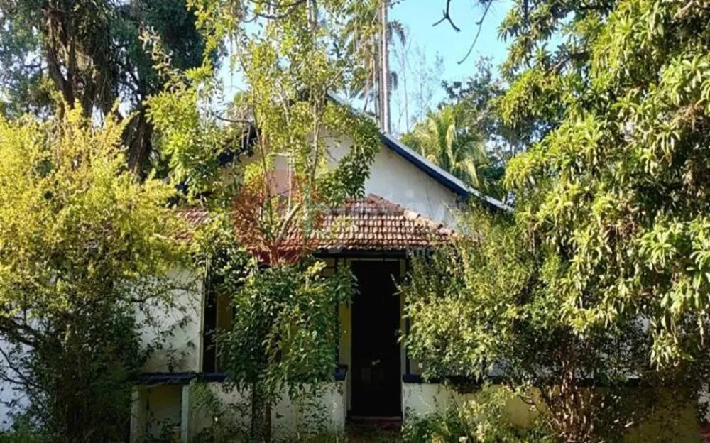 Terreno, 1798 m² - Foto 3
